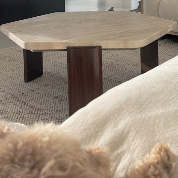 HEXA COFFEE TABLE  