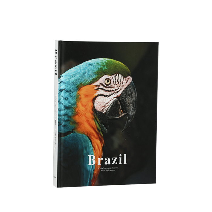 ICON BOOK